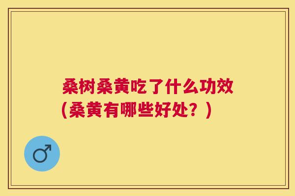 桑树桑黄吃了什么功效(桑黄有哪些好处?) 桑树桑黄吃了什么功效(桑黄有哪些好处?)