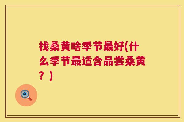 找桑黄啥季节好(什么季节适合品尝桑黄?) 找桑黄啥季节好(什么季节适合品尝桑黄?)