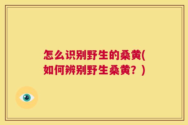 怎么识别野生的桑黄(如何辨别野生桑黄?) 怎么识别野生的桑黄(如何辨别野生桑黄?)