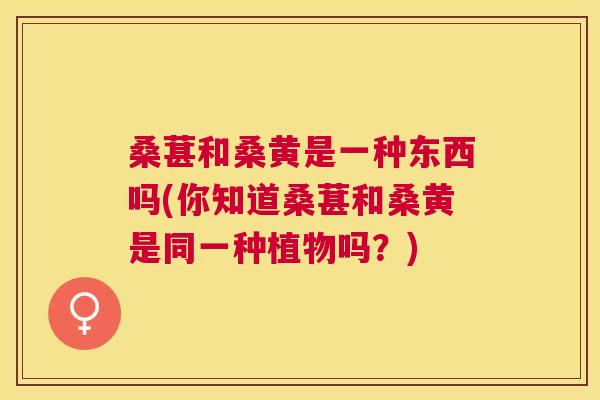 桑葚和桑黄是一种东西吗(你知道桑葚和桑黄是同一种植物吗?) 桑葚和桑黄是一种东西吗(你知道桑葚和桑黄是同一种植物吗?)