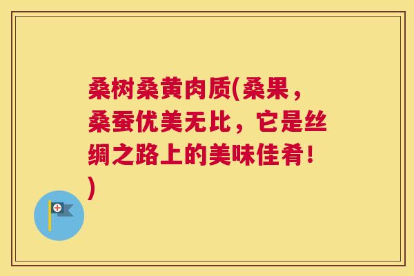 桑树桑黄肉质(桑果,桑蚕优美无比,它是丝绸之路上的美味佳肴!) 桑树桑黄肉质(桑果,桑蚕优美无比,它是丝绸之路上的美味佳肴!)