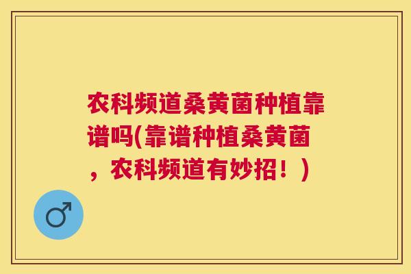 农科频道桑黄菌种植靠谱吗(靠谱种植桑黄菌，农科频道有妙招！)
