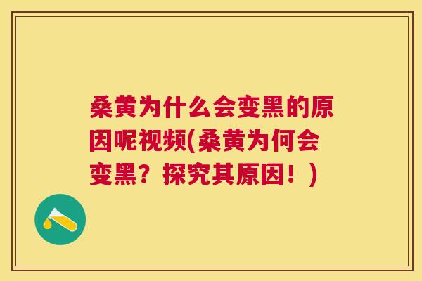 桑黄为什么会变黑的原因呢视频(桑黄为何会变黑?探究其原因!) 桑黄为什么会变黑的原因呢视频(桑黄为何会变黑?探究其原因!)