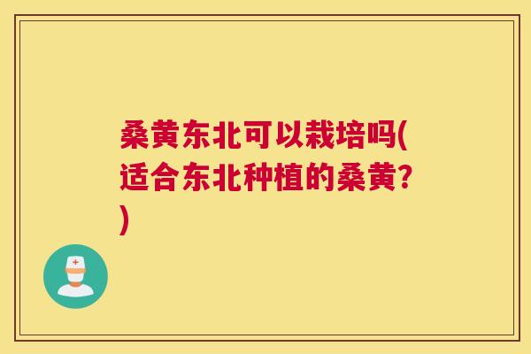 桑黄东北可以栽培吗(适合东北种植的桑黄？)