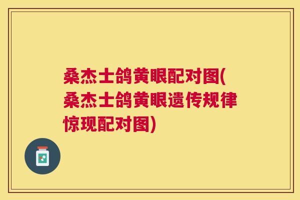 桑杰士鸽黄眼配对图(桑杰士鸽黄眼遗传规律惊现配对图) 桑杰士鸽黄眼配对图(桑杰士鸽黄眼遗传规律惊现配对图)