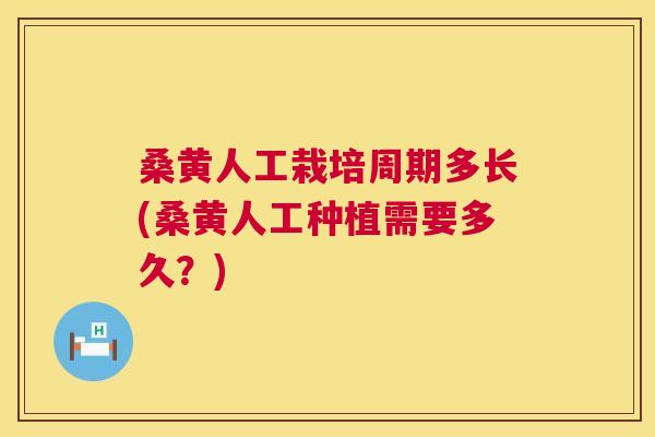 桑黄人工栽培周期多长(桑黄人工种植需要多久?) 桑黄人工栽培周期多长(桑黄人工种植需要多久?)