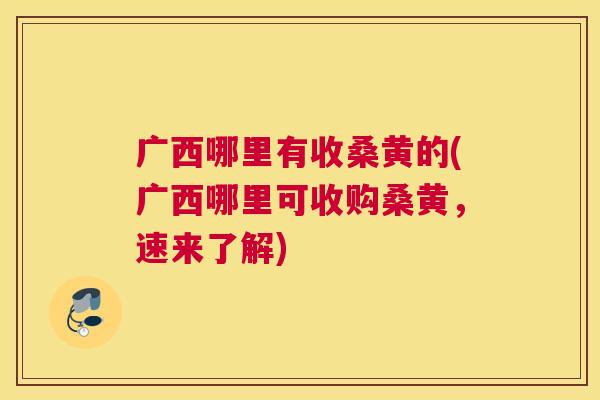 广西哪里有收桑黄的(广西哪里可收购桑黄,速来了解) 广西哪里有收桑黄的(广西哪里可收购桑黄,速来了解)