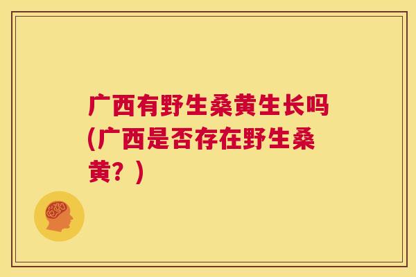 广西有野生桑黄生长吗(广西是否存在野生桑黄?) 广西有野生桑黄生长吗(广西是否存在野生桑黄?)