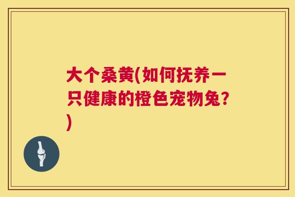 大个桑黄(如何抚养一只健康的橙色宠物兔?) 大个桑黄(如何抚养一只健康的橙色宠物兔?)