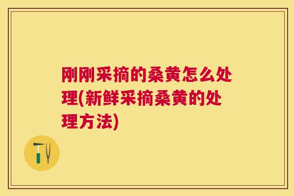 刚刚采摘的桑黄怎么处理(新鲜采摘桑黄的处理方法) 刚刚采摘的桑黄怎么处理(新鲜采摘桑黄的处理方法)