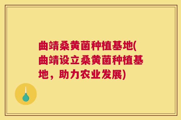 曲靖桑黄菌种植基地(曲靖设立桑黄菌种植基地,助力农业发展) 曲靖桑黄菌种植基地(曲靖设立桑黄菌种植基地,助力农业发展)