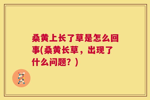 桑黄上长了草是怎么回事(桑黄长草,出现了什么问题?) 桑黄上长了草是怎么回事(桑黄长草,出现了什么问题?)