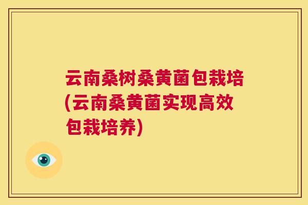 云南桑树桑黄菌包栽培(云南桑黄菌实现高效包栽培养) 云南桑树桑黄菌包栽培(云南桑黄菌实现高效包栽培养)