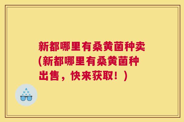 新都哪里有桑黄菌种卖(新都哪里有桑黄菌种出售,快来获取!) 新都哪里有桑黄菌种卖(新都哪里有桑黄菌种出售,快来获取!)