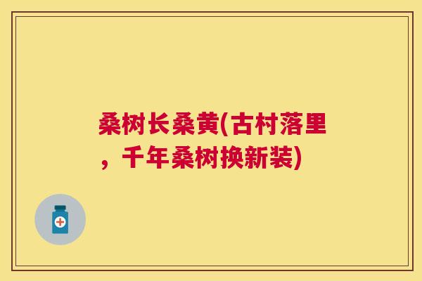 桑树长桑黄(古村落里,千年桑树换新装) 桑树长桑黄(古村落里,千年桑树换新装)