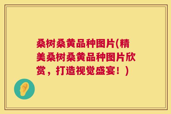 桑树桑黄品种图片(精美桑树桑黄品种图片欣赏,打造视觉盛宴!) 桑树桑黄品种图片(精美桑树桑黄品种图片欣赏,打造视觉盛宴!)