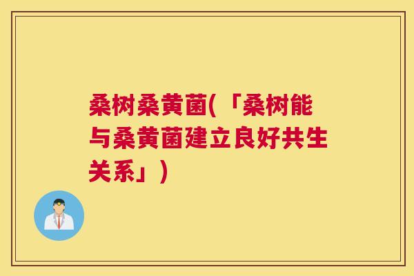 桑树桑黄菌(「桑树能与桑黄菌建立良好共生关系」) 桑树桑黄菌(「桑树能与桑黄菌建立良好共生关系」)