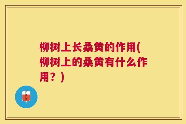 柳树上长桑黄的作用(柳树上的桑黄有什么作用?) 柳树上长桑黄的作用(柳树上的桑黄有什么作用?)