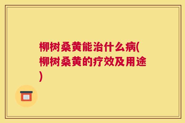 柳树桑黄能什么(柳树桑黄的疗效及用途) 柳树桑黄能什么(柳树桑黄的疗效及用途)