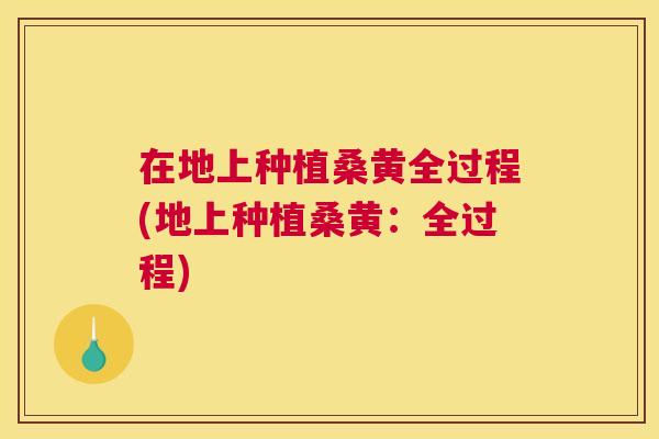 在地上种植桑黄全过程(地上种植桑黄:全过程) 在地上种植桑黄全过程(地上种植桑黄:全过程)