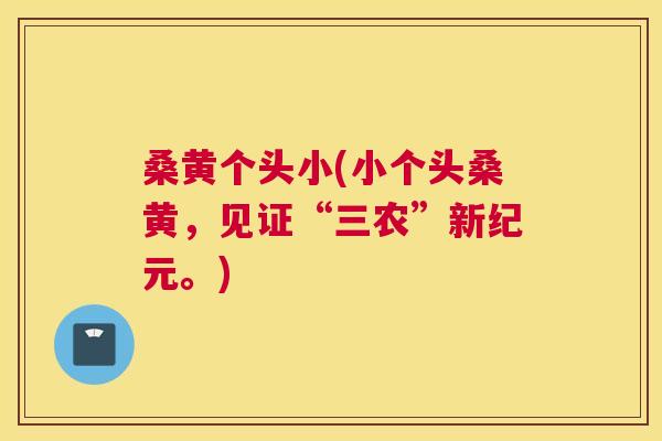 桑黄个头小(小个头桑黄，见证“三农”新纪元。)