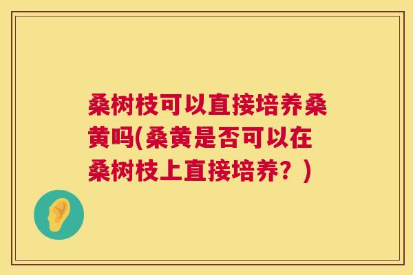 桑树枝可以直接培养桑黄吗(桑黄是否可以在桑树枝上直接培养?) 桑树枝可以直接培养桑黄吗(桑黄是否可以在桑树枝上直接培养?)