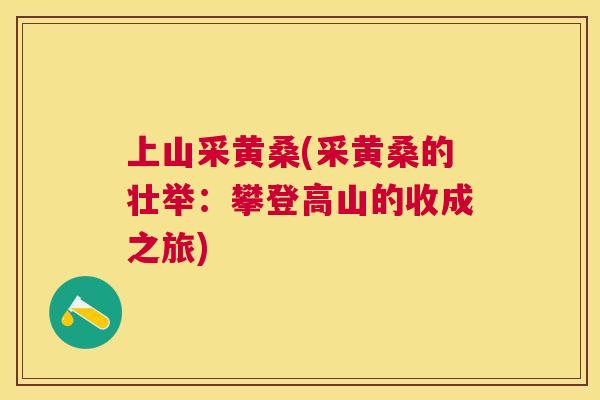 上山采黄桑(采黄桑的壮举:攀登高山的收成之旅) 上山采黄桑(采黄桑的壮举:攀登高山的收成之旅)
