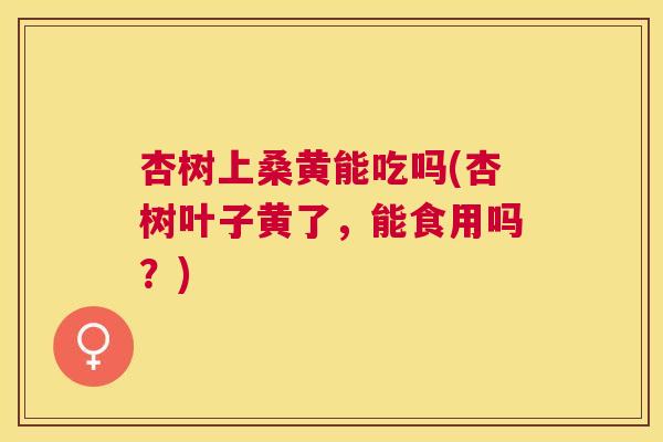 杏树上桑黄能吃吗(杏树叶子黄了,能食用吗?) 杏树上桑黄能吃吗(杏树叶子黄了,能食用吗?)
