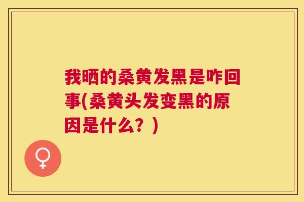 我晒的桑黄发黑是咋回事(桑黄头发变黑的原因是什么?) 我晒的桑黄发黑是咋回事(桑黄头发变黑的原因是什么?)