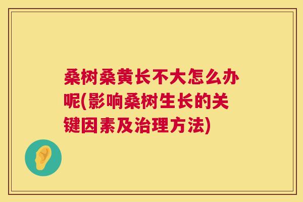 桑树桑黄长不大怎么办呢(影响桑树生长的关键因素及理方法) 桑树桑黄长不大怎么办呢(影响桑树生长的关键因素及理方法)