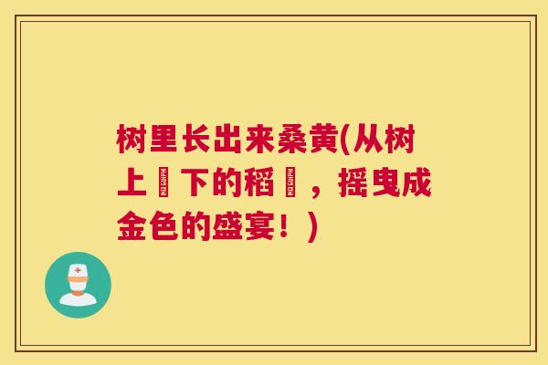 树里长出来桑黄(从树上採下的稻穀,摇曳成金色的盛宴!) 树里长出来桑黄(从树上採下的稻穀,摇曳成金色的盛宴!)