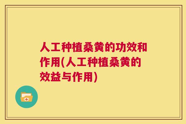 人工种植桑黄的功效和作用(人工种植桑黄的效益与作用) 人工种植桑黄的功效和作用(人工种植桑黄的效益与作用)