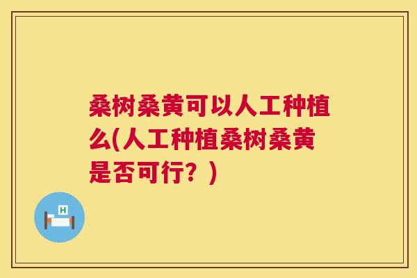 桑树桑黄可以人工种植么(人工种植桑树桑黄是否可行?) 桑树桑黄可以人工种植么(人工种植桑树桑黄是否可行?)