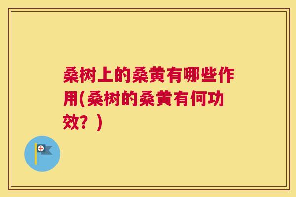 桑树上的桑黄有哪些作用(桑树的桑黄有何功效?) 桑树上的桑黄有哪些作用(桑树的桑黄有何功效?)