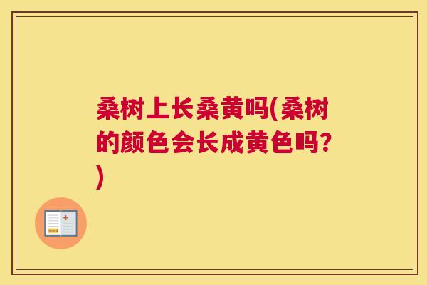 桑树上长桑黄吗(桑树的颜色会长成黄色吗?) 桑树上长桑黄吗(桑树的颜色会长成黄色吗?)
