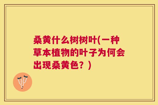 桑黄什么树树叶(一种草本植物的叶子为何会出现桑黄色?) 桑黄什么树树叶(一种草本植物的叶子为何会出现桑黄色?)