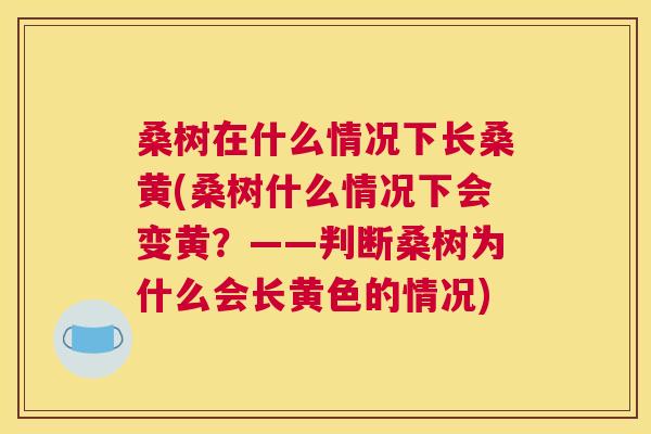 桑树在什么情况下长桑黄(桑树什么情况下会变黄?——判断桑树为什么会长黄色的情况) 桑树在什么情况下长桑黄(桑树什么情况下会变黄?——判断桑树为什么会长黄色的情况)