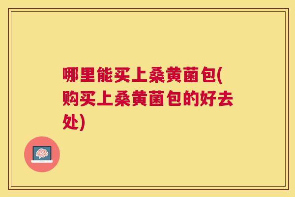 哪里能买上桑黄菌包(购买上桑黄菌包的好去处) 哪里能买上桑黄菌包(购买上桑黄菌包的好去处)