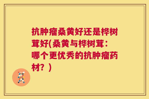 抗桑黄好还是桦树茸好(桑黄与桦树茸:哪个更优秀的抗药材?) 抗桑黄好还是桦树茸好(桑黄与桦树茸:哪个更优秀的抗药材?)