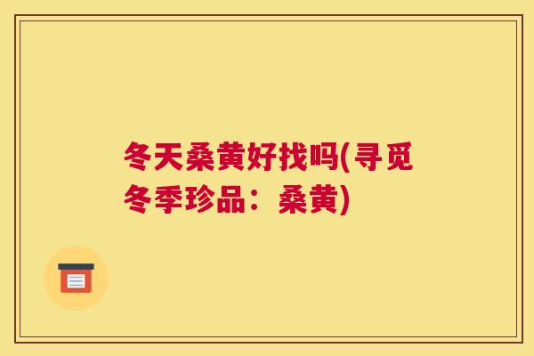 冬天桑黄好找吗(寻觅冬季珍品:桑黄) 冬天桑黄好找吗(寻觅冬季珍品:桑黄)
