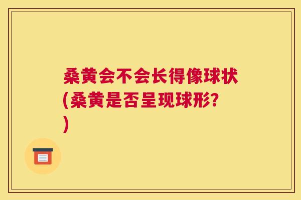 桑黄会不会长得像球状(桑黄是否呈现球形?) 桑黄会不会长得像球状(桑黄是否呈现球形?)