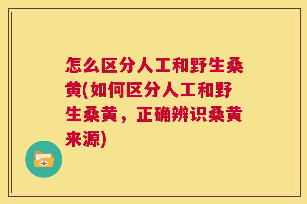 怎么区分人工和野生桑黄(如何区分人工和野生桑黄,正确辨识桑黄来源) 怎么区分人工和野生桑黄(如何区分人工和野生桑黄,正确辨识桑黄来源)
