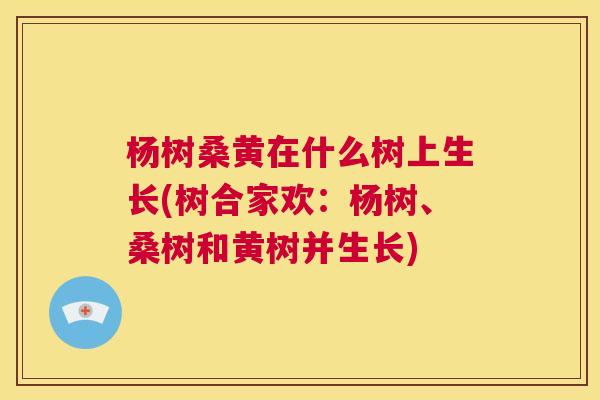 杨树桑黄在什么树上生长(树合家欢:杨树、桑树和黄树并生长) 杨树桑黄在什么树上生长(树合家欢:杨树、桑树和黄树并生长)