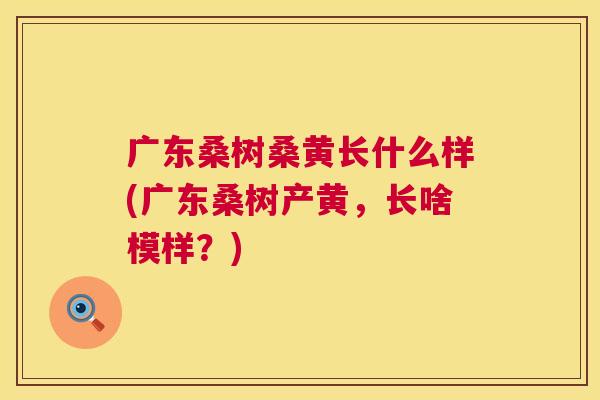 广东桑树桑黄长什么样(广东桑树产黄,长啥模样?) 广东桑树桑黄长什么样(广东桑树产黄,长啥模样?)