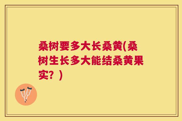 桑树要多大长桑黄(桑树生长多大能结桑黄果实?) 桑树要多大长桑黄(桑树生长多大能结桑黄果实?)