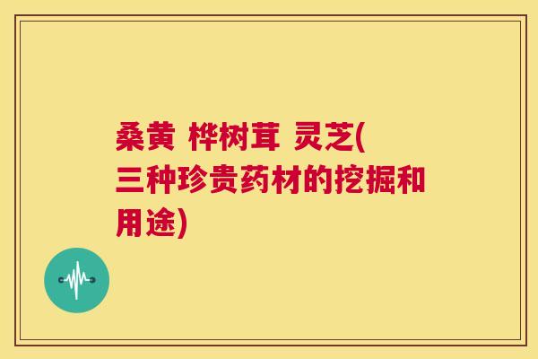 桑黄 桦树茸 灵芝(三种珍贵药材的挖掘和用途)