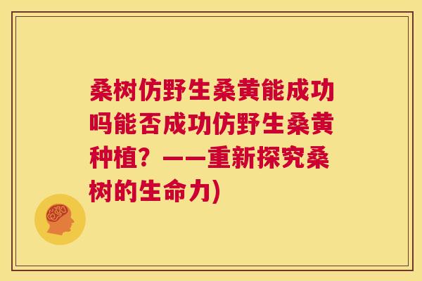 桑树仿野生桑黄能成功吗能否成功仿野生桑黄种植?——重新探究桑树的生命力) 桑树仿野生桑黄能成功吗能否成功仿野生桑黄种植?——重新探究桑树的生命力)