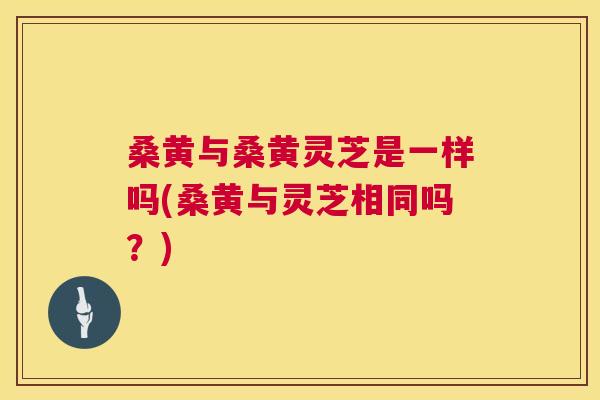桑黄与桑黄灵芝是一样吗(桑黄与灵芝相同吗?) 桑黄与桑黄灵芝是一样吗(桑黄与灵芝相同吗?)