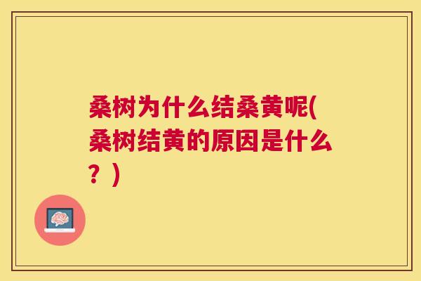 桑树为什么结桑黄呢(桑树结黄的原因是什么？)