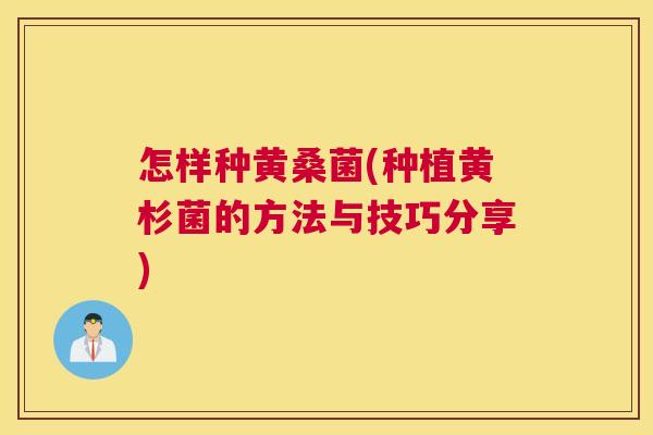 怎样种黄桑菌(种植黄杉菌的方法与技巧分享) 怎样种黄桑菌(种植黄杉菌的方法与技巧分享)